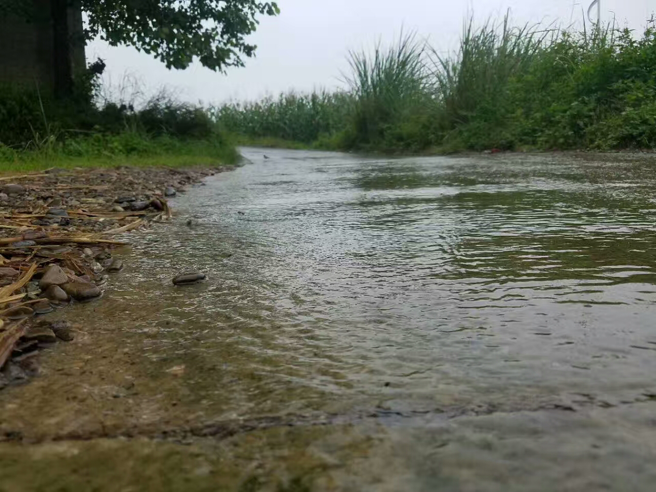 山庄溪河